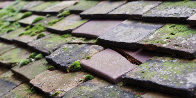 Kingston roof repair costs